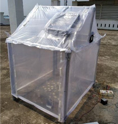 solar-greenhouse-dryer