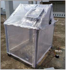 Solar Greenhouse Dryer