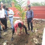 TREE PLANTATION DRIVE AT ODGI