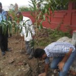 TREE PLANTATION DRIVE AT ODGI