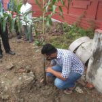 TREE PLANTATION DRIVE AT ODGI