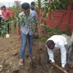 TREE PLANTATION DRIVE AT ODGI