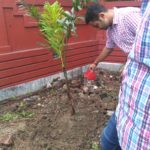 TREE PLANTATION DRIVE AT ODGI